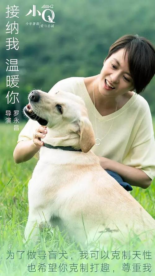 鲍登大学公共管理文凭证书